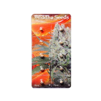 BUDDHA SEEDS - SYRUP AUTO FEM | BLISTER 1x10 SEMI