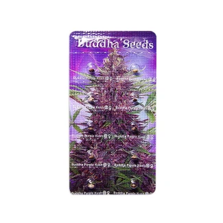 BUDDHA SEEDS - PURPLE KUSH AUTO FEM | 10 SEMI (Blister 1x10)