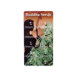 BUDDHA SEEDS - CALAMITY JANE AUTO FEMM | BLISTER 1x10 SEMI
