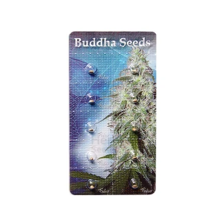 BUDDHA SEEDS - PULSAR FEM | BLISTER 1x10 SEMI