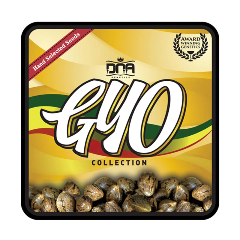 GYOFEM6006 - GROW YOUR OWN - LEMON WALKER FEM | 6 SEMI