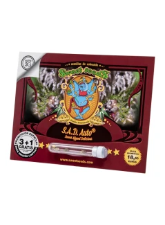 SWEET SEEDS - AUTO S.A.D. SWEET AFGANI DELICIOUS AUTO® FEM (SWS24) | 5+2 SEMI