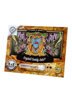 SWEET SEEDS - CRYSTAL CANDY AUTO® FEM (SWS61) | 100 SEMI