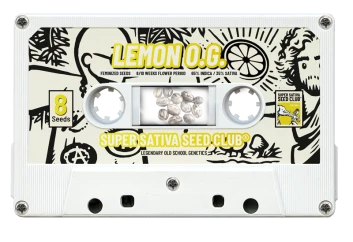 SSSC130802 - SUPER SATIVA SEED CLUB - LEMON OG FEM | 8 SEMI Disponibili fino a fine scorte