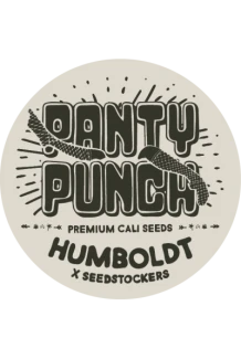 SEEDSTOCKERS - PANTY PUNCH AUTO FEM (SUPERIOR) | 100 SEMI