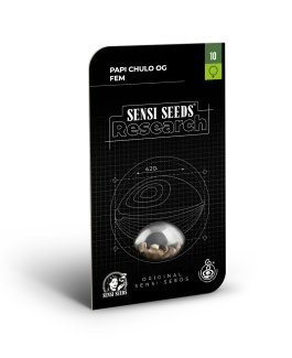 SENSI SEEDS RESEARCH - PAPI CHULO OG FEM | 3 SEMI