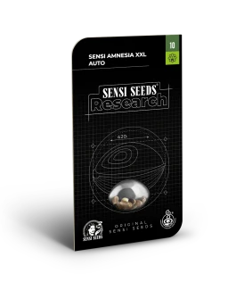 SENSI SEEDS RESEARCH - SENSI AMNESIA XXL AUTO FEM | 3 SEMI