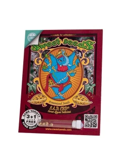 SWEET SEEDS - S.A.D. SWEET AFGANI DELICIOUS CBD® FEM (SWS60) | 5+2 SEMI