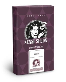 SENSI SEEDS BANK - SKUNK #1 FEM | 1 SEME
