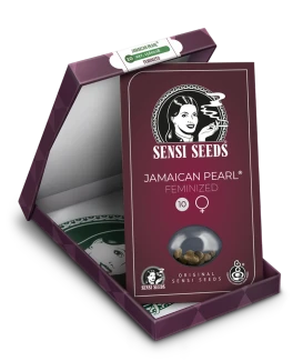 SENSI SEEDS BANK - JAMAICAN PEARL FEM | 1 SEME
