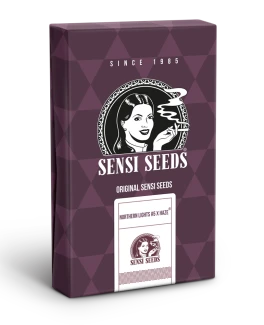 SENSI SEEDS BANK - NORTHERN LIGHTS #5 X HAZE FEM | 3 SEMI