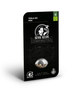 SENSI SEEDS RESEARCH - TEZLA OG FEM | 10 SEMI