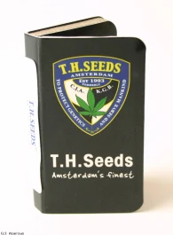 STHF050002 - KUSHAGE 5 SEMI FEMM T.H. SEEDS