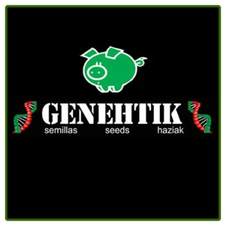 GENEHTIK SEEDS - OG LEMON BILBO FEM | 1 SEME