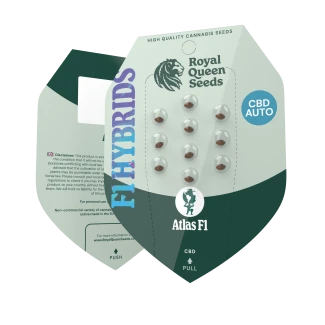 RQS_F1_Atlas_New-2025_packet