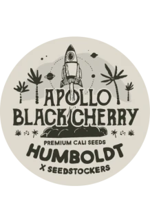 SEEDSTOCKERS - APOLLO BLACK CHERRY AUTO FEM (SUPERIOR) | 3+2 SEMI