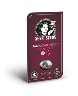 SENSI SEEDS BANK - JAMAICAN PEARL FEM | 5 SEMI