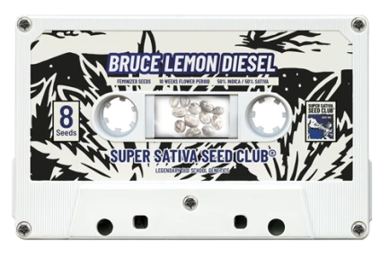SUPER SATIVA SEED CLUB - BRUCE LEMON DIESEL FEM | 3 SEMI